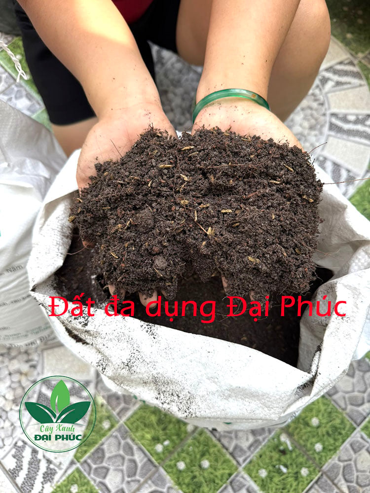 đất trồng cây trộn sẵn