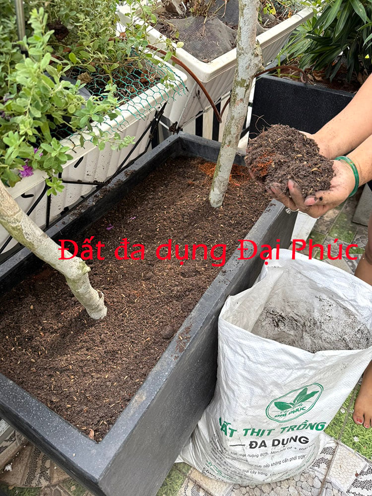 đất thịt trộn sẵn