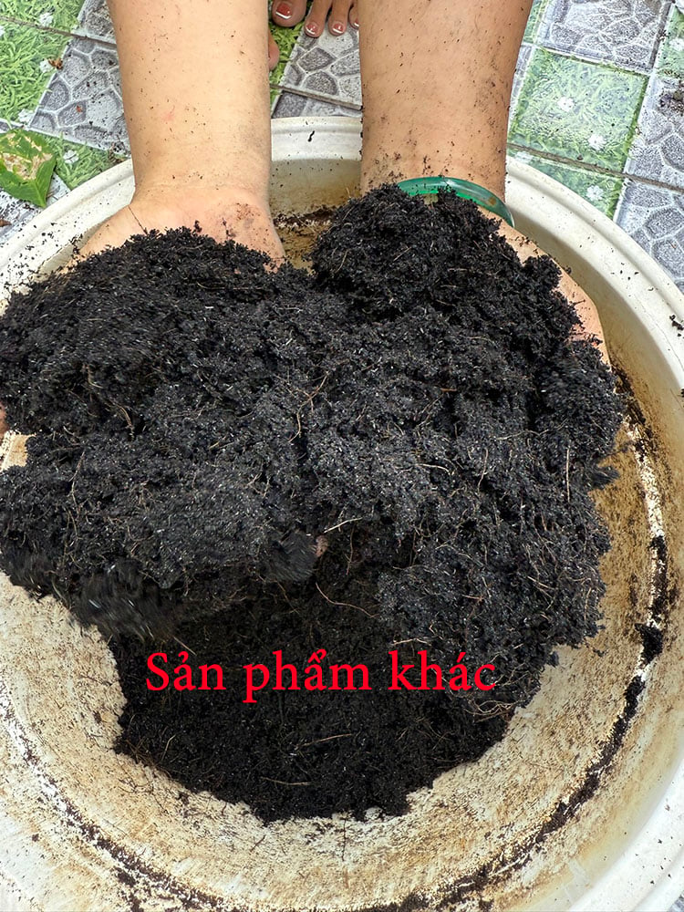 đất trồng cây