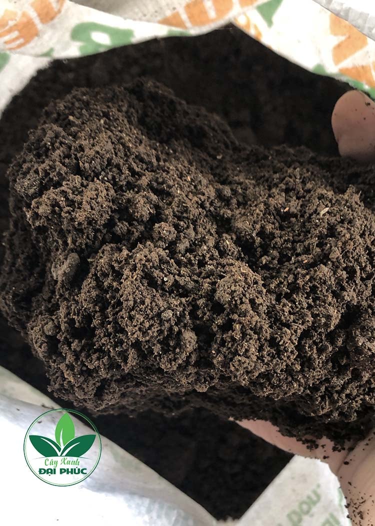 phân trùn quế nguyên chất