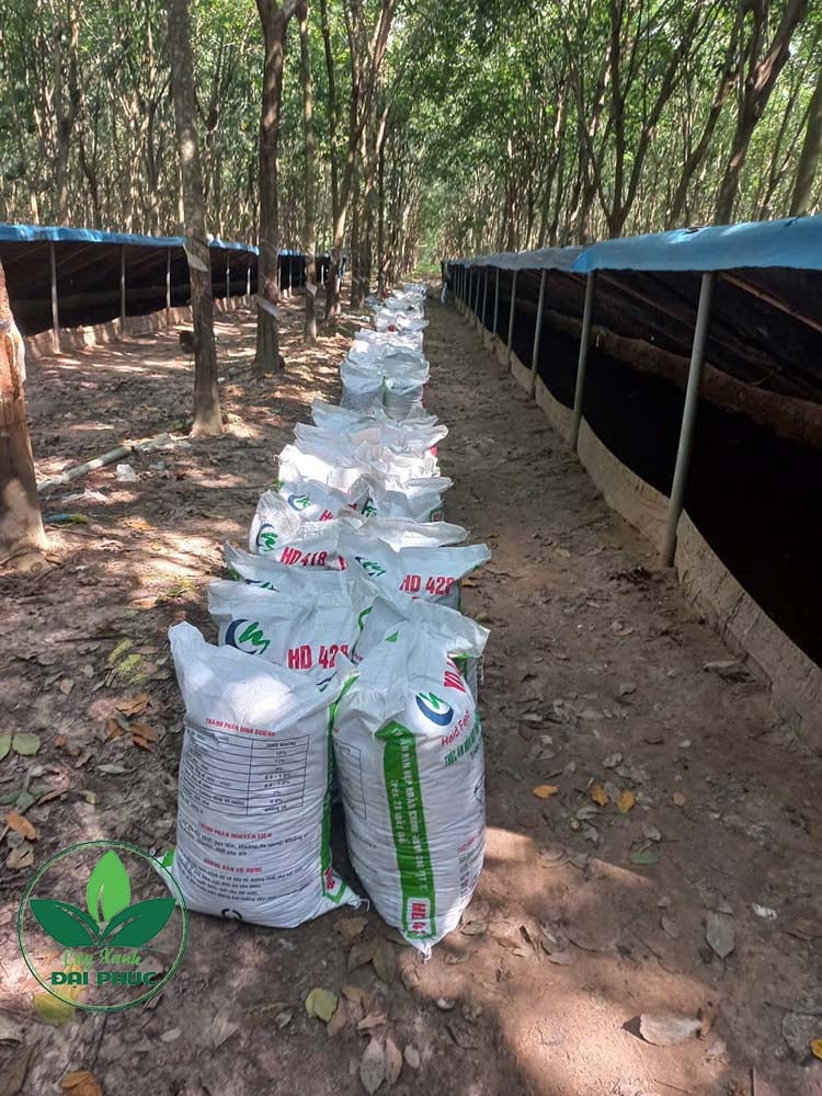 phân trùn quế vi sinh hữu cơ