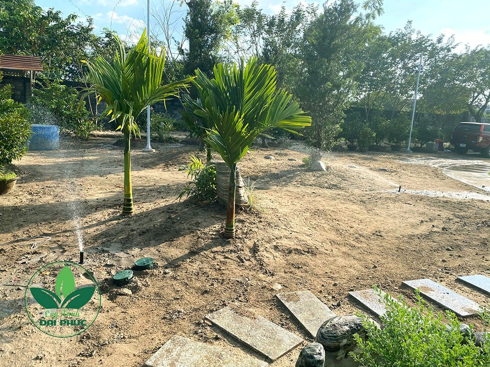 thi công cảnh quan sân vườn