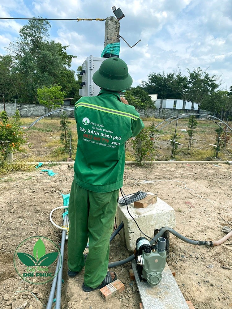 thi công cảnh quan sân vườn