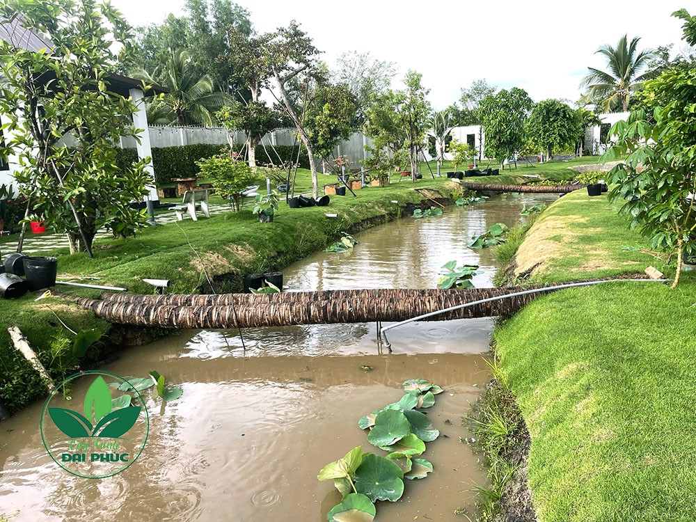 thi công sân vườn