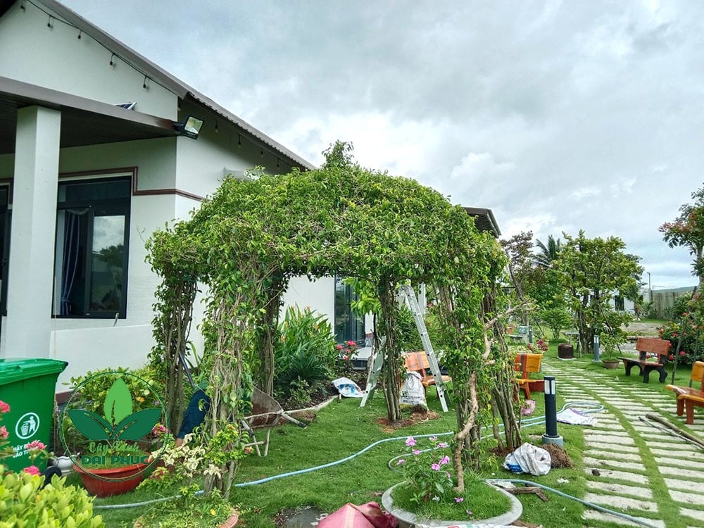 thi công sân vườn