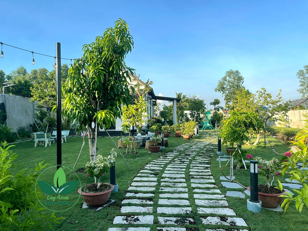 thi công sân vườn
