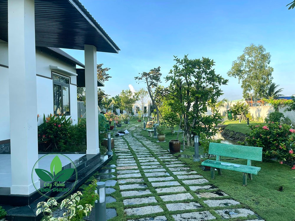 thi công sân vườn