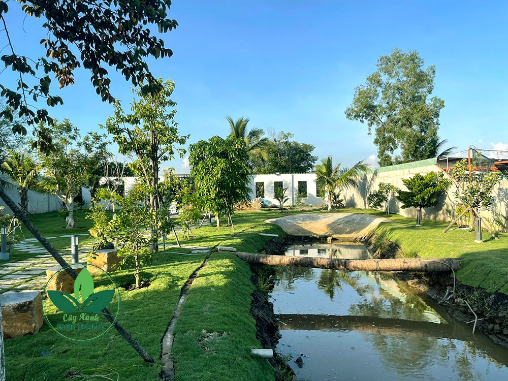thi công sân vườn