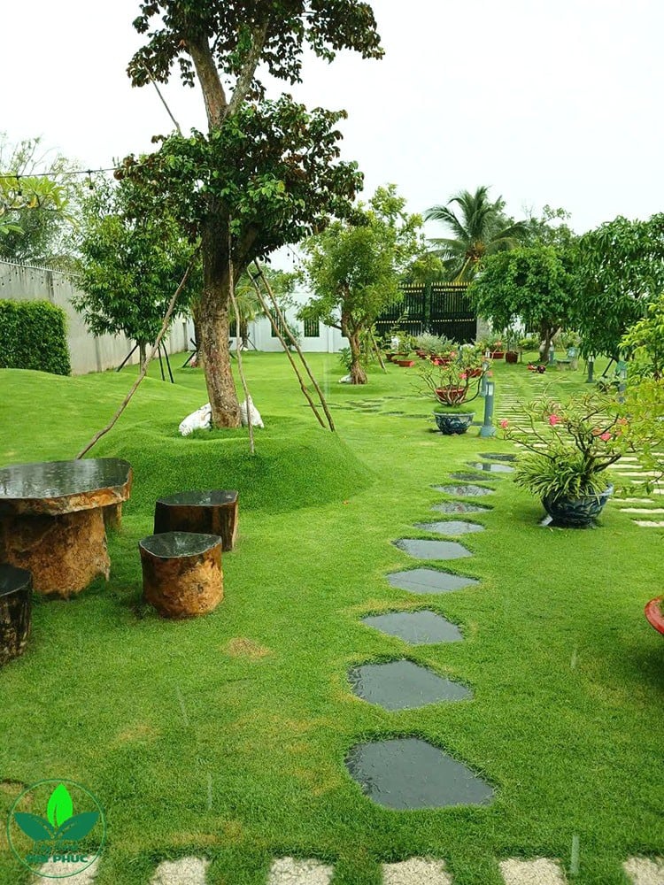 thi công sân vườn