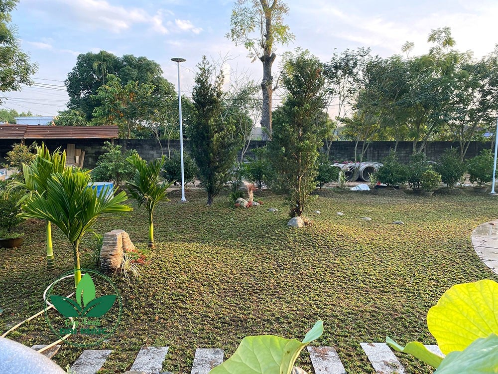 thi công cảnh quan sân vườn
