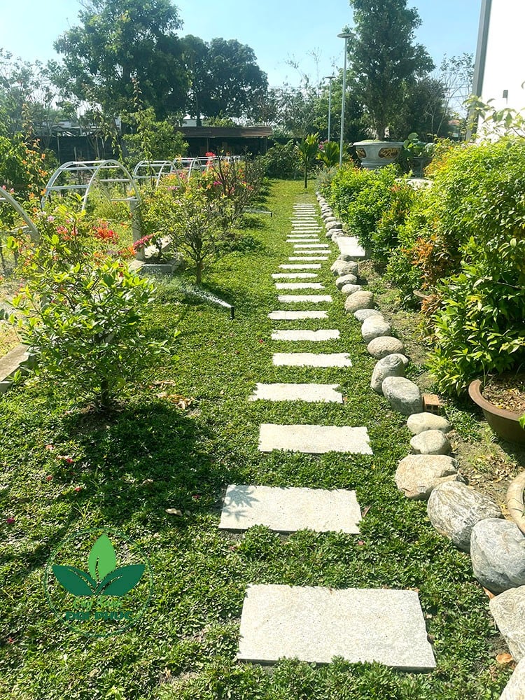 thi công cảnh quan sân vườn