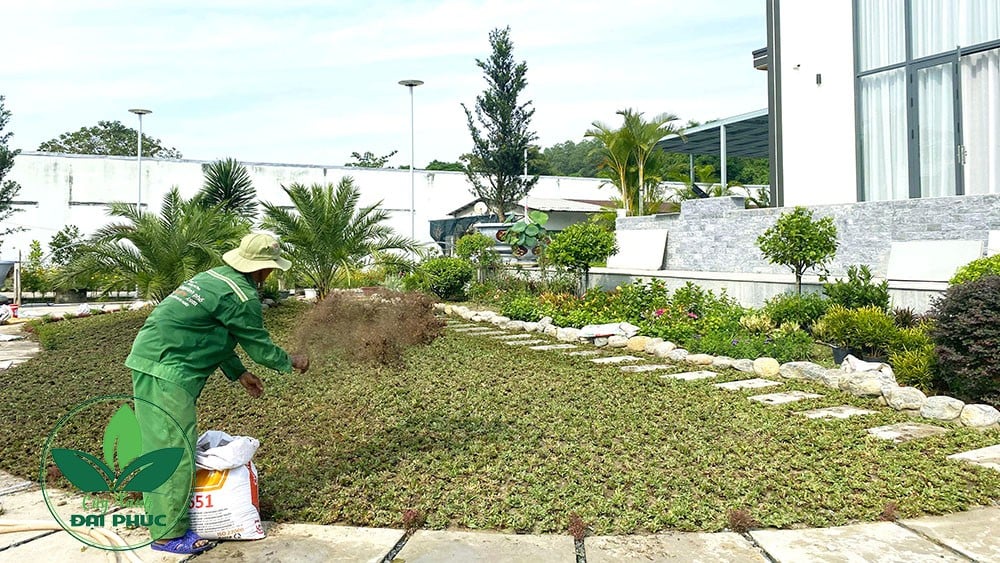 thi công cảnh quan sân vườn