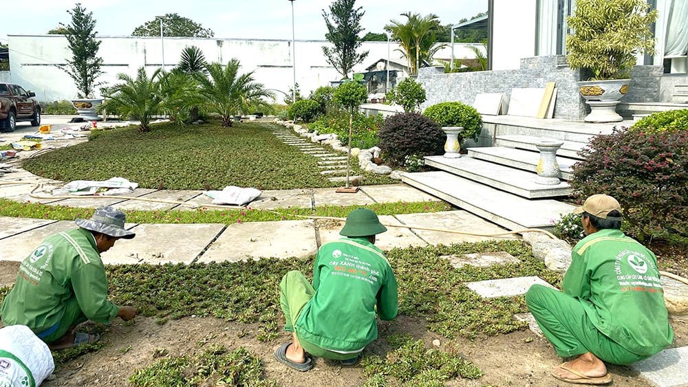 thi công cảnh quan sân vườn
