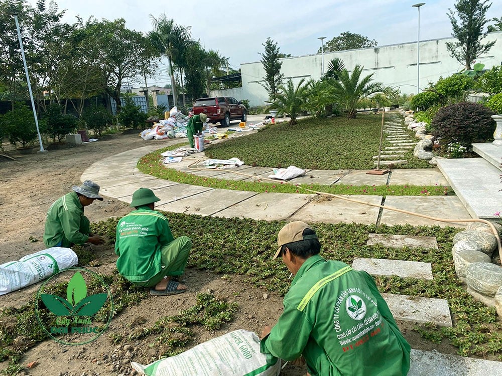 thi công cảnh quan sân vườn