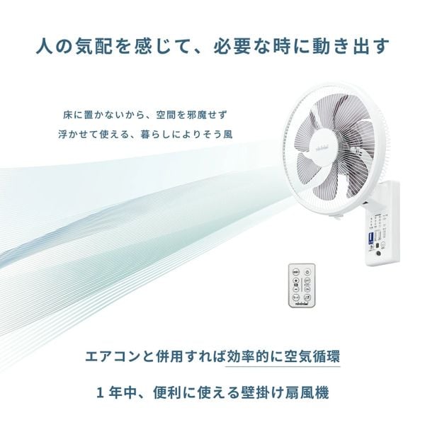 quạt treo tường Toyotomi FW-S30R(W)