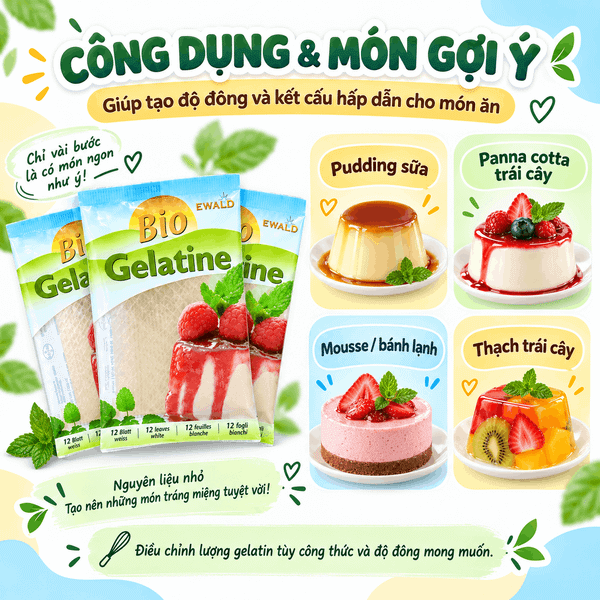 Công dụng Gelatin Ewald Hữu Cơ 20g và các món gợi ý như pudding sữa, panna cotta trái cây, mousse và thạch trái cây