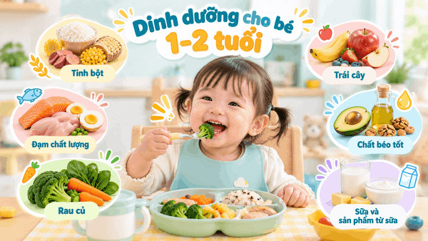 Dinh dưỡng cho bé 1–2 tuổi