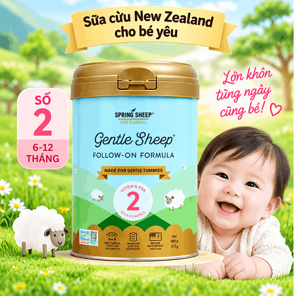 Sữa cừu Spring Sheep NZ số 2 800g cho bé 6–12 tháng