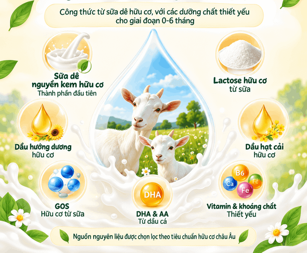 Thành phần Jovie Goat Organic số 1 gồm sữa dê nguyên kem hữu cơ, lactose, GOS, DHA, AA, vitamin và khoáng chất