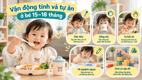 Phát triển vận động của bé 15–18 tháng