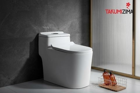 Thay mới bồn cầu: Khi nào cần thay và kinh nghiệm lựa chọn