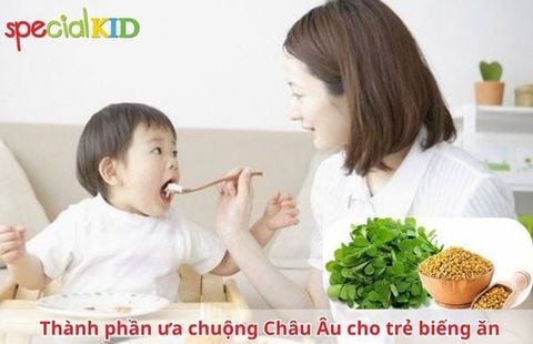 Top các thành phần được ưa chuộng tại Châu Âu cho trẻ biếng ăn