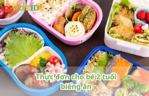 Top 5 thực đơn cho bé 2 tuổi biếng ăn dễ làm, đủ dinh dưỡng