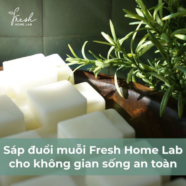 lựa chọn sáp đuổi muỗi an toàn cho không gian sống