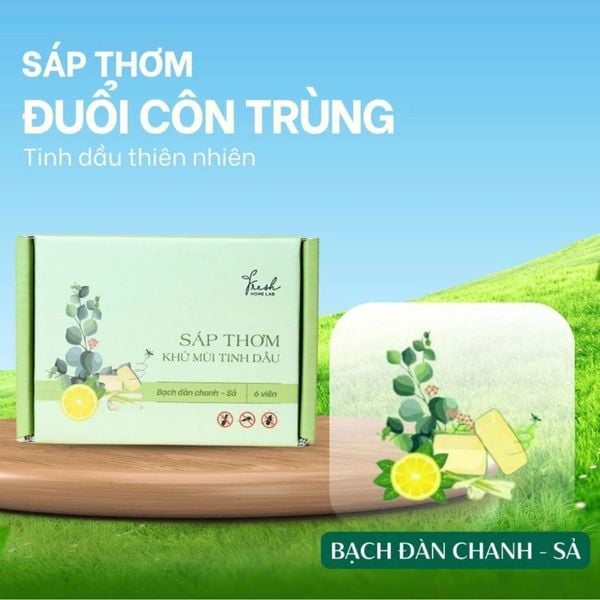 sáp thơm đuổi côn trùng bạch đàn chanh sả