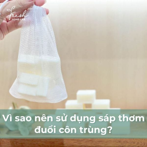 vì sao nên sử dụng sáp thơm đuổi muỗi