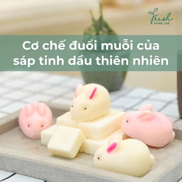 cơ chế đuổi muỗi của sáp tinh dầu thiên nhiên