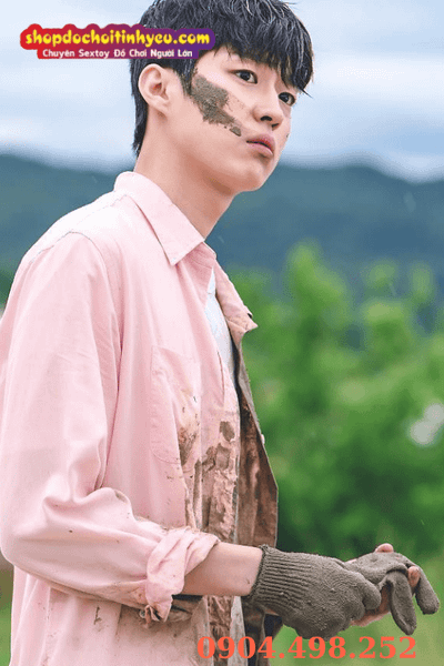 Nam Việt thuần chất