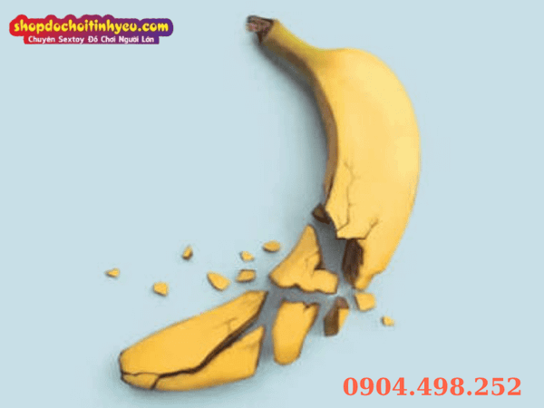 Dương vật có xương không và giải mã cấu trúc