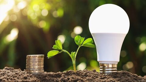 Olympia Lighting Việt Nam Cập Nhật Xu Hướng Chiếu Sáng Tiết Kiệm 2026