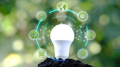 Xu Hướng Chiếu Sáng Xanh Tiết Kiệm Điện Từ Đèn LED MotoM Nhật Bản 2026