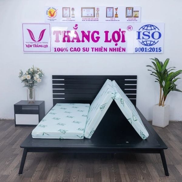 Nệm cao su thiên nhiên Super Win gấp 3 Thắng Lợi