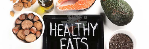 HẢI SẢN CÓ GIÚP TĂNG CƯỜNG HỆ MIỄN DỊCH KHÔNG?