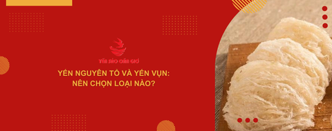 Yến nguyên tổ và yến vụn: Nên chọn loại nào?