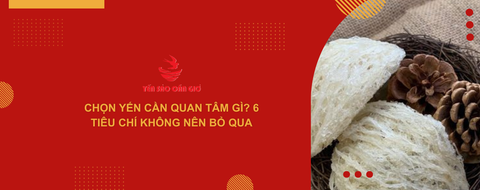 Chọn yến cần quan tâm gì? 6 tiêu chí không nên bỏ qua