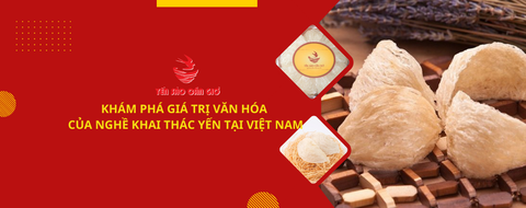 Khám phá giá trị văn hóa của nghề khai thác yến tại Việt Nam