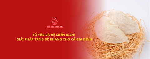 Tổ yến: Giải pháp tự nhiên tăng đề kháng cho cả gia đình