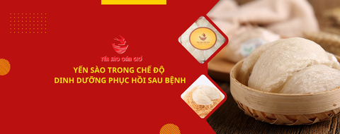 YẾN SÀO TRONG CHẾ ĐỘ DINH DƯỠNG PHỤC HỒI SAU BỆNH