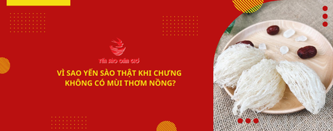 VÌ SAO YẾN SÀO THẬT KHI CHƯNG KHÔNG CÓ MÙI THƠM NỒNG?