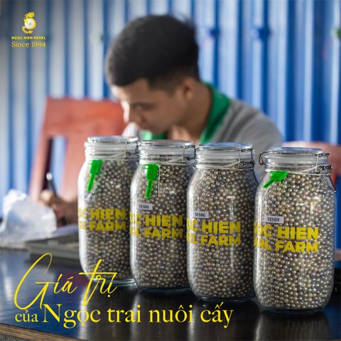 Thực hư ngọc trai nuôi cấy không có giá trị