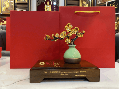 Top 10 Món Quà Biếu Người Lớn Tuổi Ý Nghĩa Nhất 2025