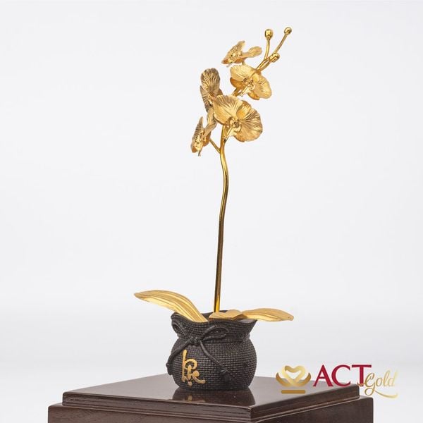 Hình ảnh sản phẩm Hình ảnh sản phẩm