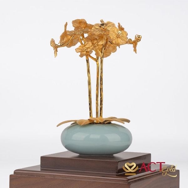 Hình ảnh sản phẩm Hình ảnh sản phẩm