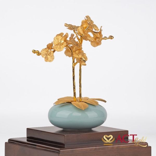 Hình ảnh sản phẩm Hình ảnh sản phẩm