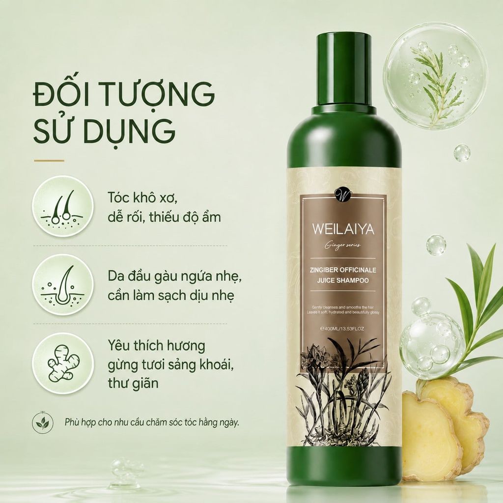 Những ai nên sử dụng dầu gội gừng lá trắc bách diệp Weilaiya?