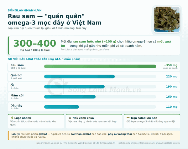 Rau sam - loại rau giàu omega 3 ALA nhất, mọc phổ biến ở Việt Nam